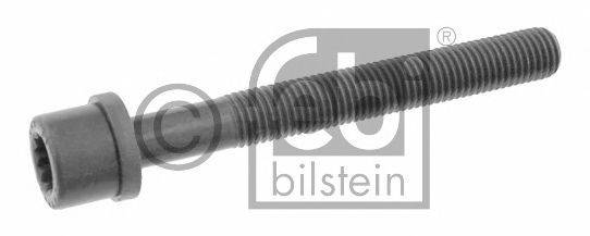 Болт головки цилідра FEBI BILSTEIN 06666